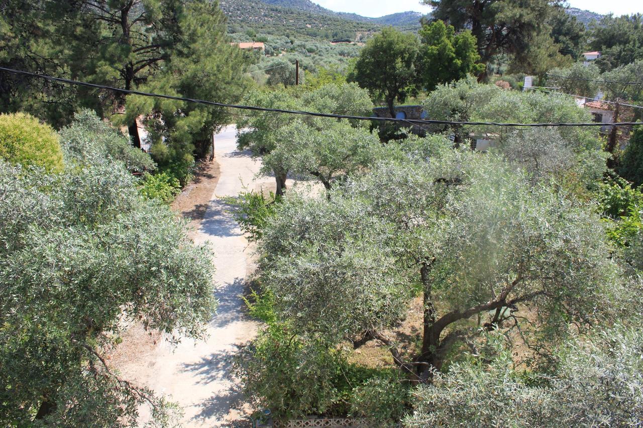 אפרטהוטל פפקרי House Ekton מראה חיצוני תמונה